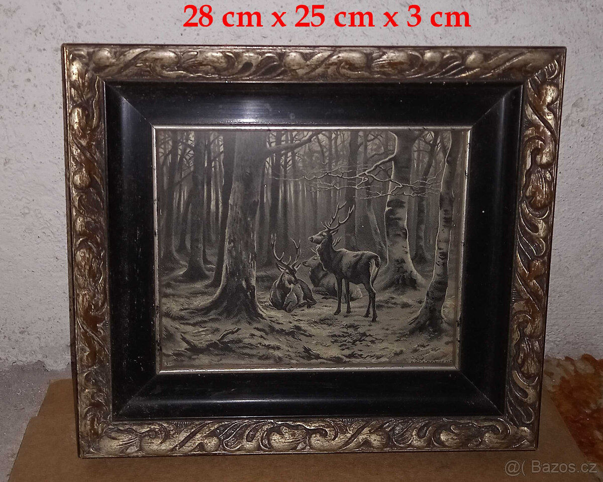 Prodám zachovalé obrazy v původním rámu, minulé století - 9