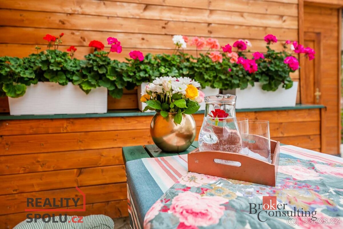 Pronájem, byty/1+kk, 30 m2, 1. máje 195, 51722 Albrechtice n - 9