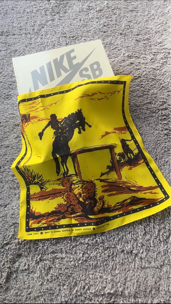 Nike SB Dunk Low Rodeo Tourmaline - 9