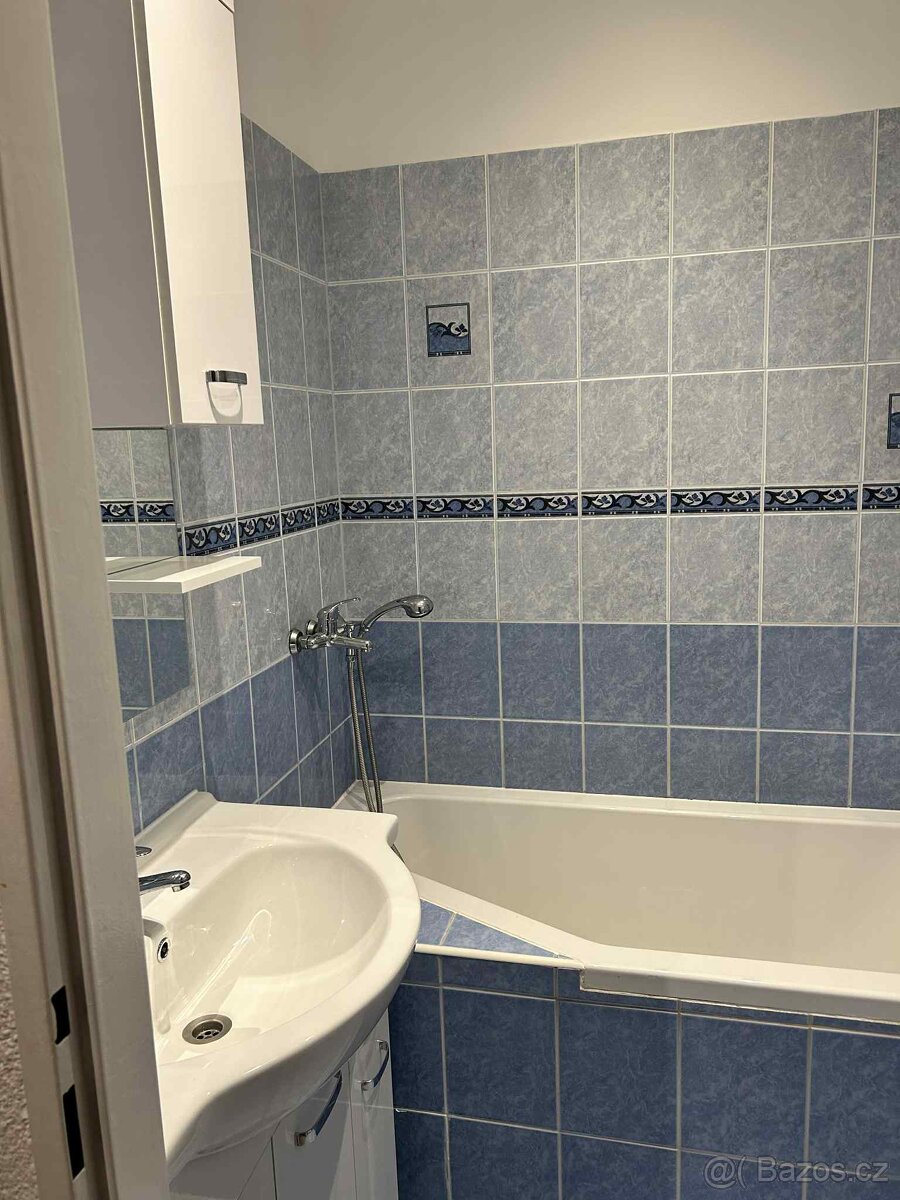 BYT K PRONÁJMU - 9