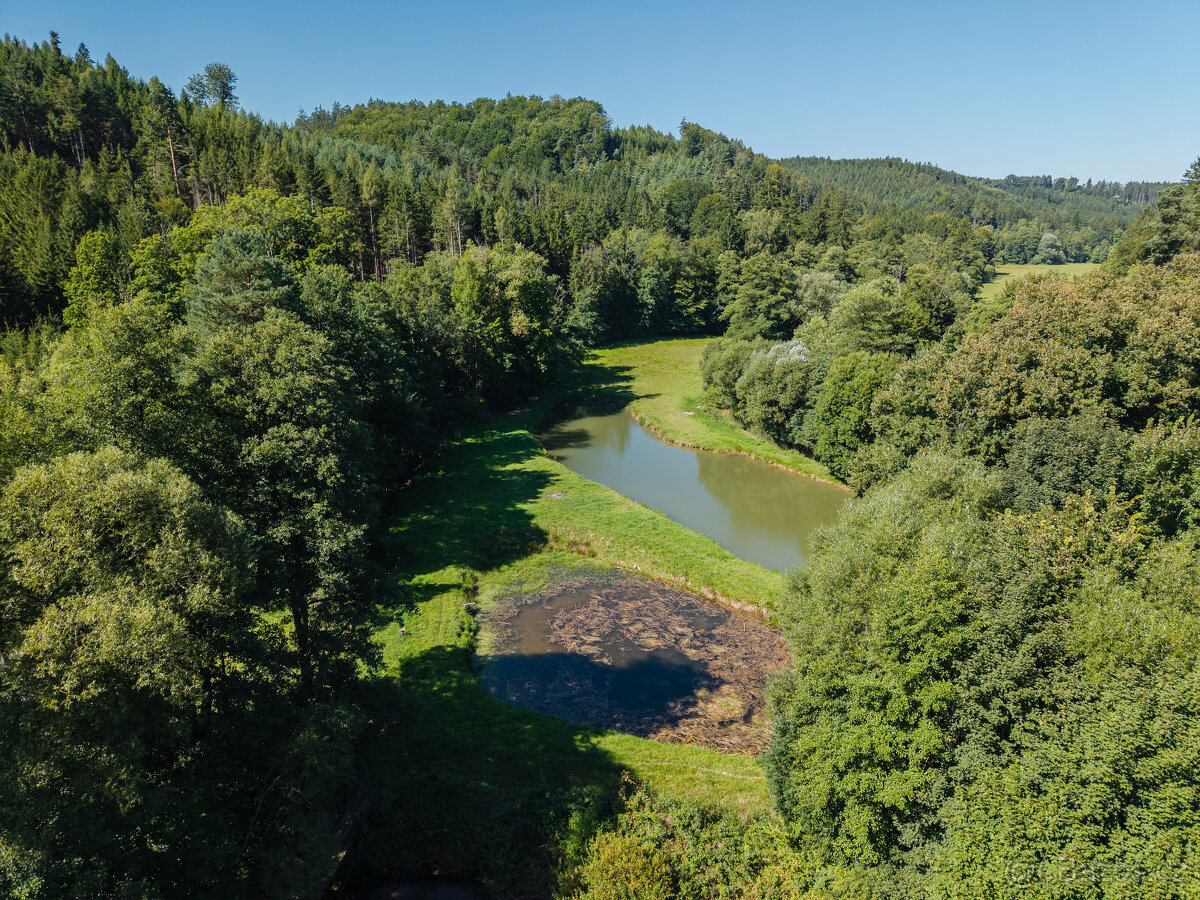 Pronájem rybích sádek, Nové Hrady - 9
