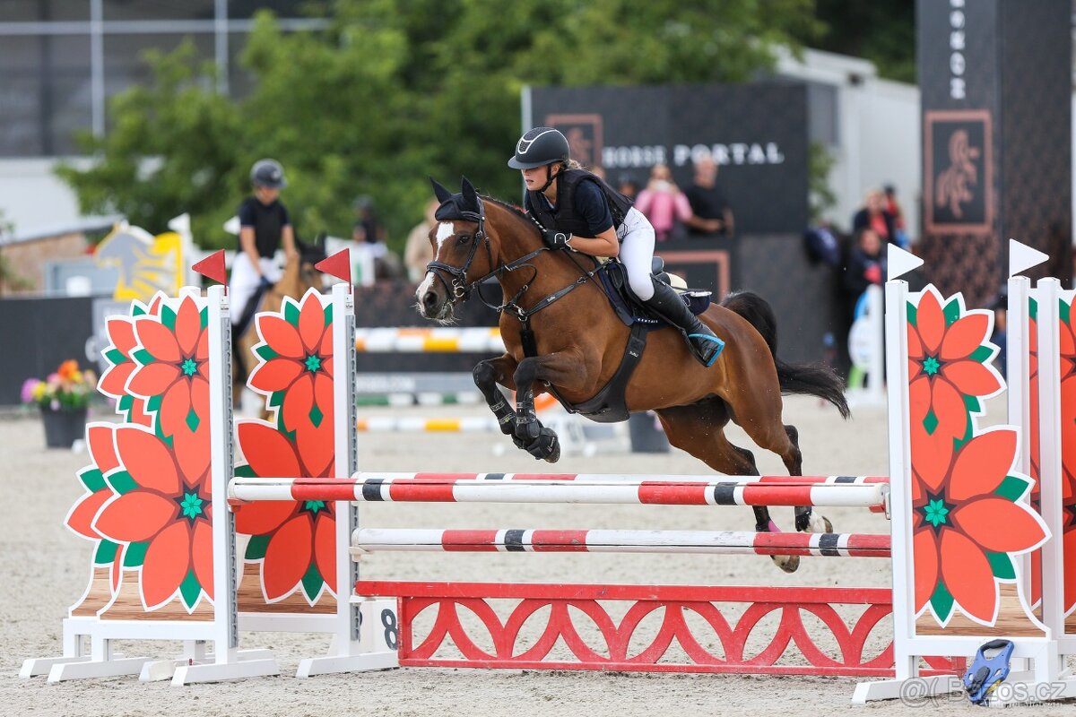 Sepík - stáj, kde se váš talent rozvine naplno - 9