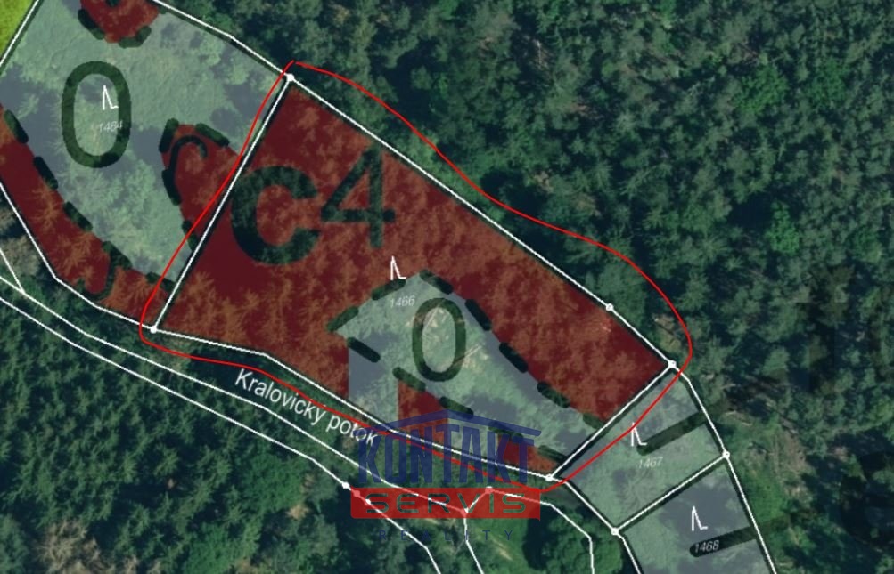 Prodej unikátních lesních pozemků v katastrálním území Hodyn - 9