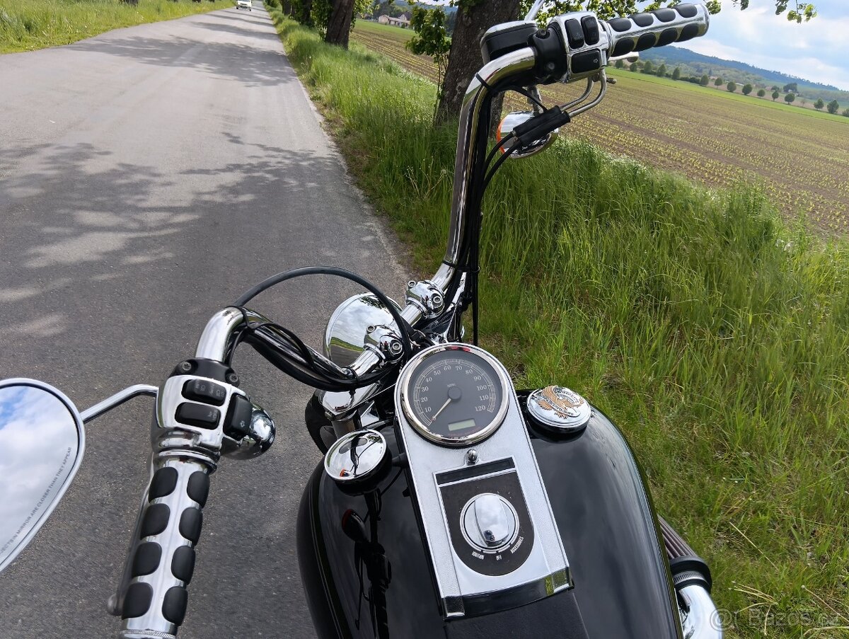HARLEY DAVIDSON FXSTC softail custom - 9