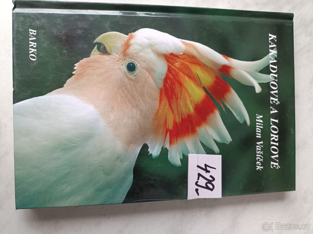 Papoušek dravci sovy ptaci - 9