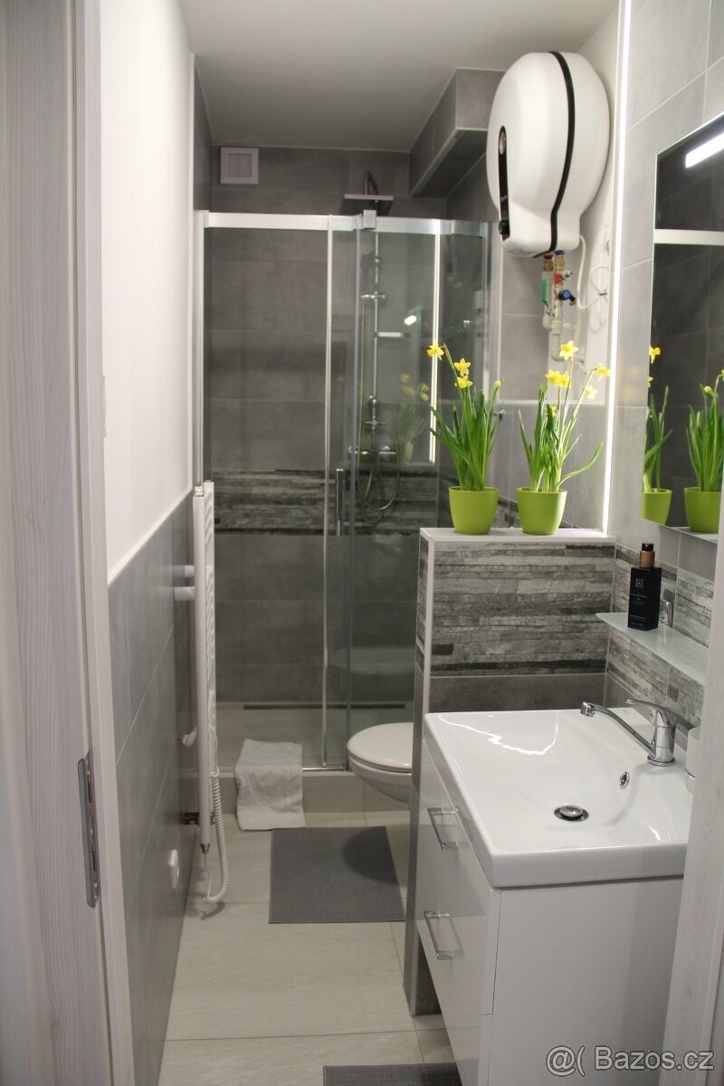 Pronajmu krásný byt 1kk v Berouně - 9