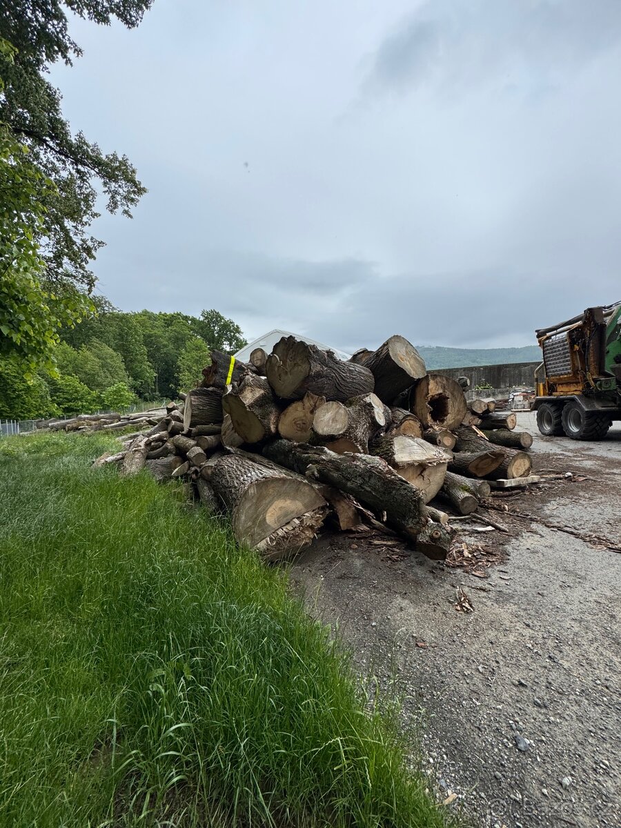 Prodej štípaného dřeva nebo kulatina - 9