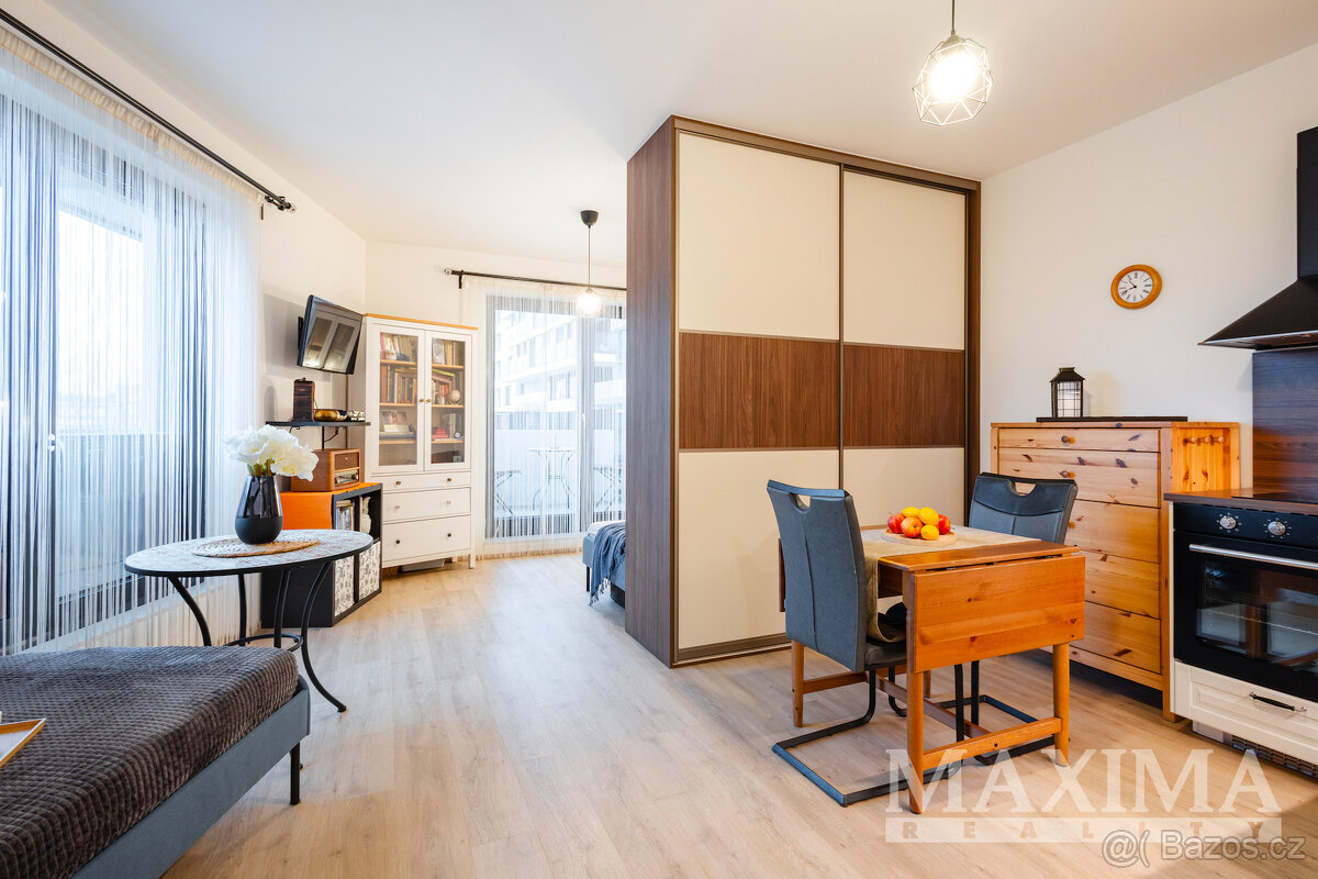 Byt 1+kk o ploše 48 m2 - Praha, Žižkov - 9