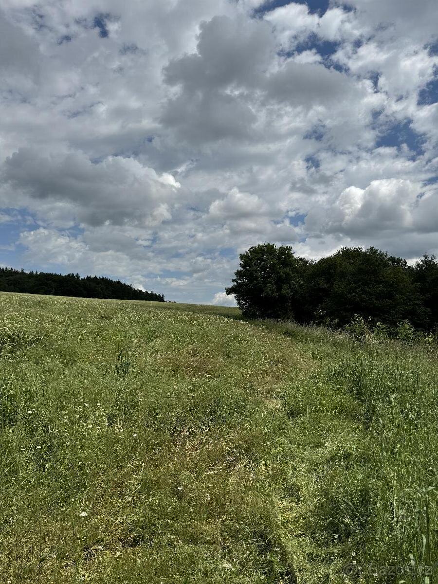 Prodám pozemky v k.ú. Labutice - 9