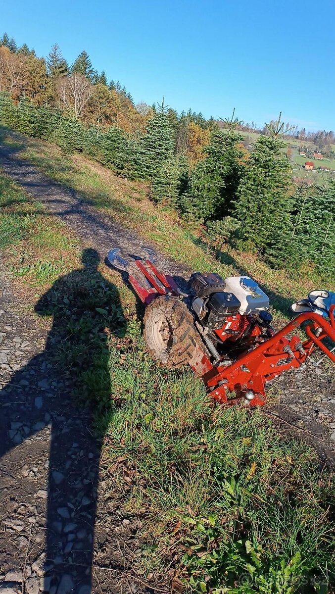 Údržba zeleně - Kácení, Mulčování, Renovace, Štěpkování - 9