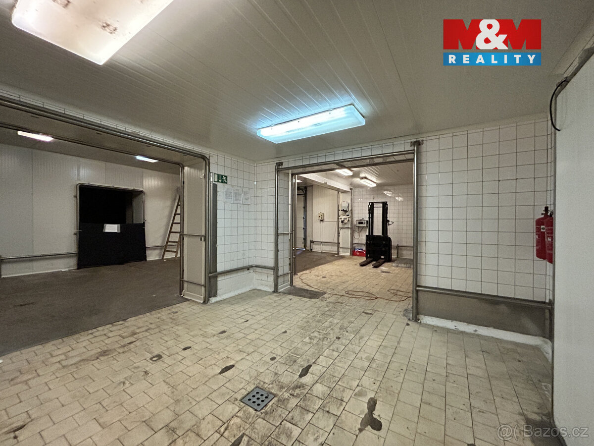 Pronájem výrobního objektu, 2400 m², Litenčice - 9