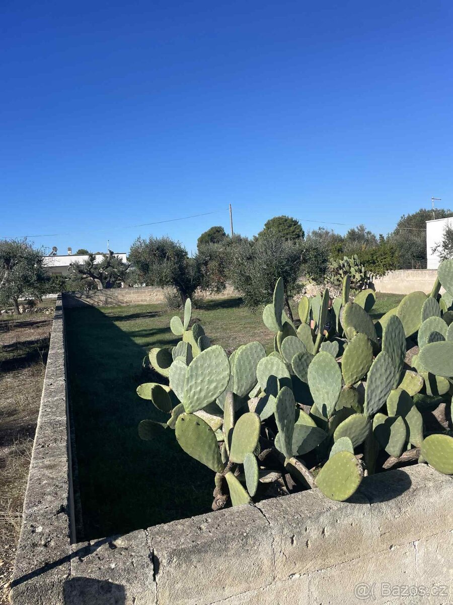 Krásný oplocený pozemek 600 m² se studnou jen 700 m od pláže - 9