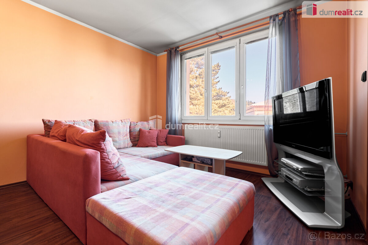 Prodej bytu 3+kk v Nové Roli - 9