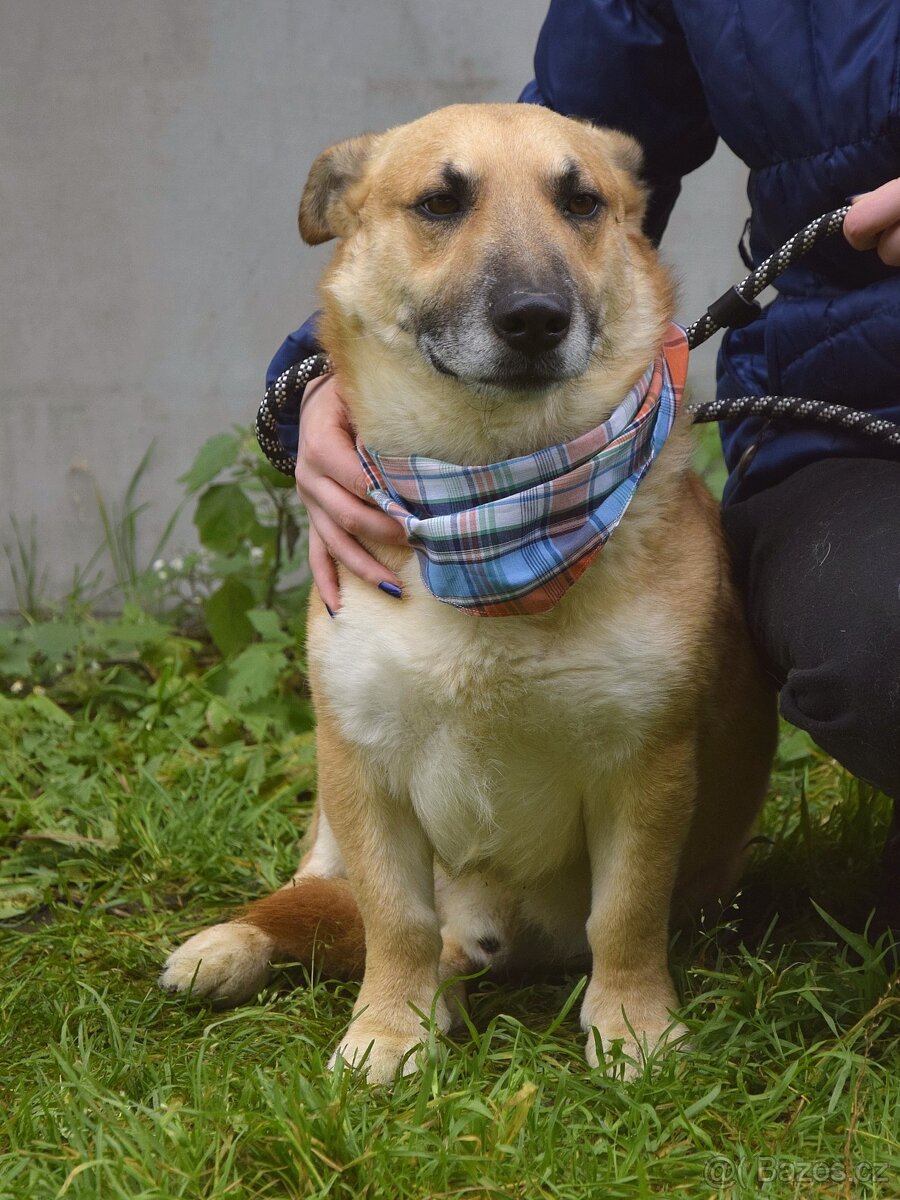 Odin hledá domov - 9