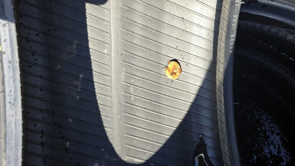 Letní pneu 245/45/18 Bridgestone - 9