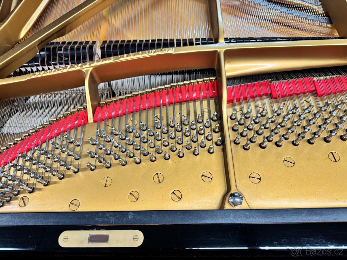 Steinway & Sons Modell D- 274 cm Only now super price - 9