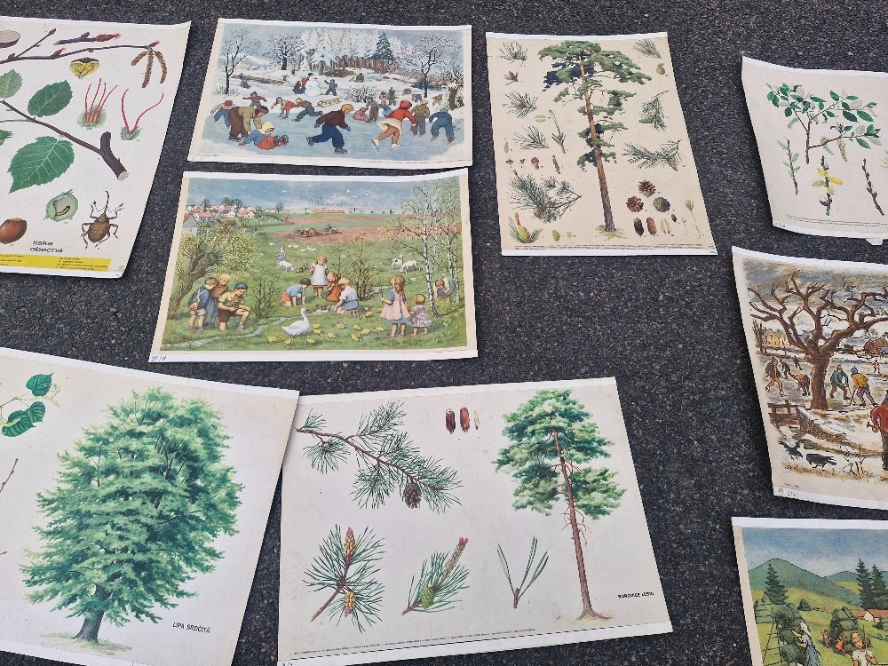 Stare skolni plakaty 50/60 leta - 9