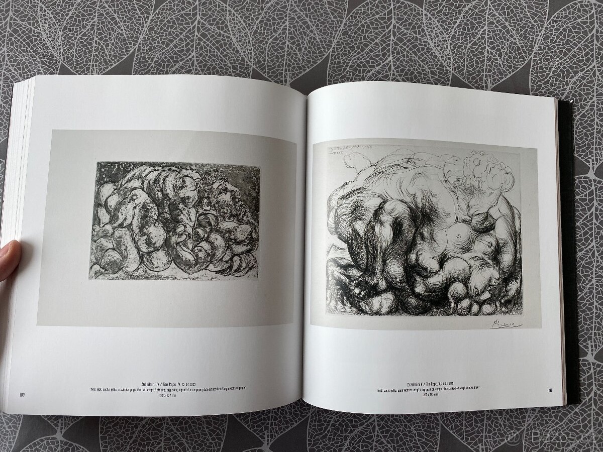 Nové knihy Pablo Picasso, Houdini - 9