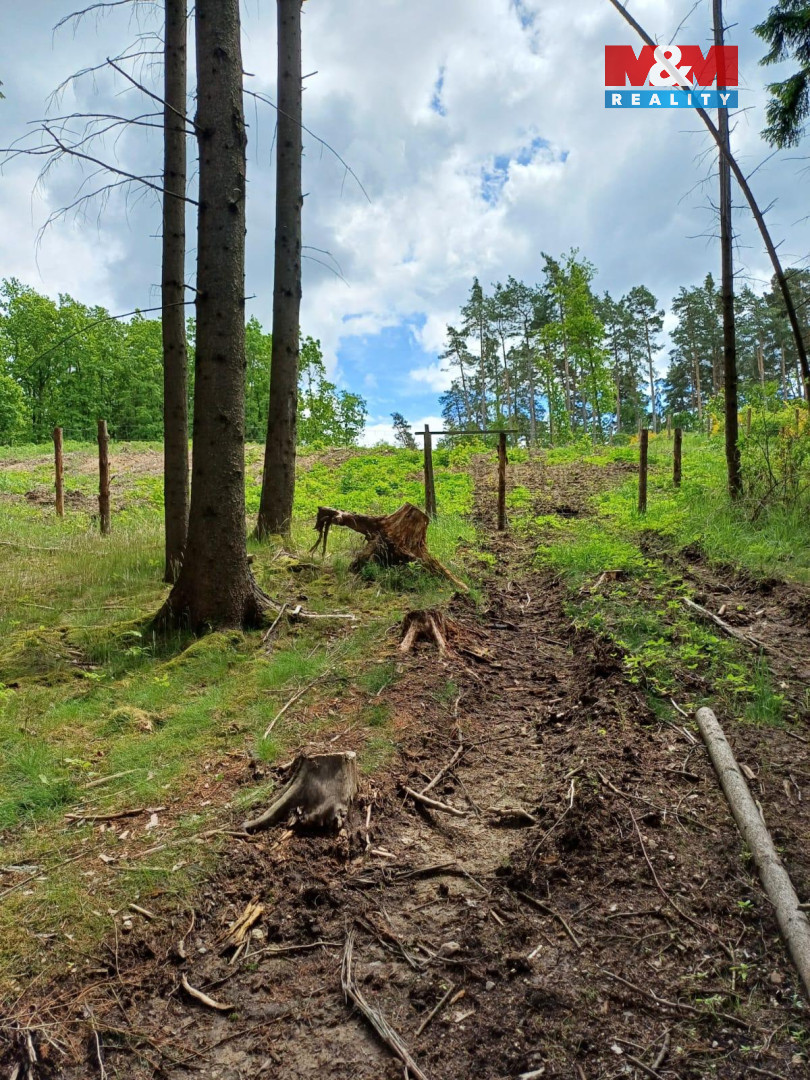 Prodej lesa, 9634 m², Hrazany - 9
