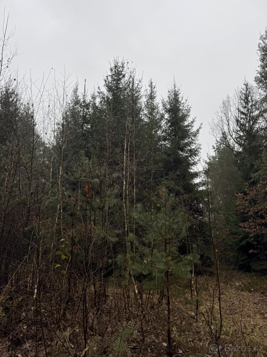 Prodám pozemky v k.ú. Veliny - 9