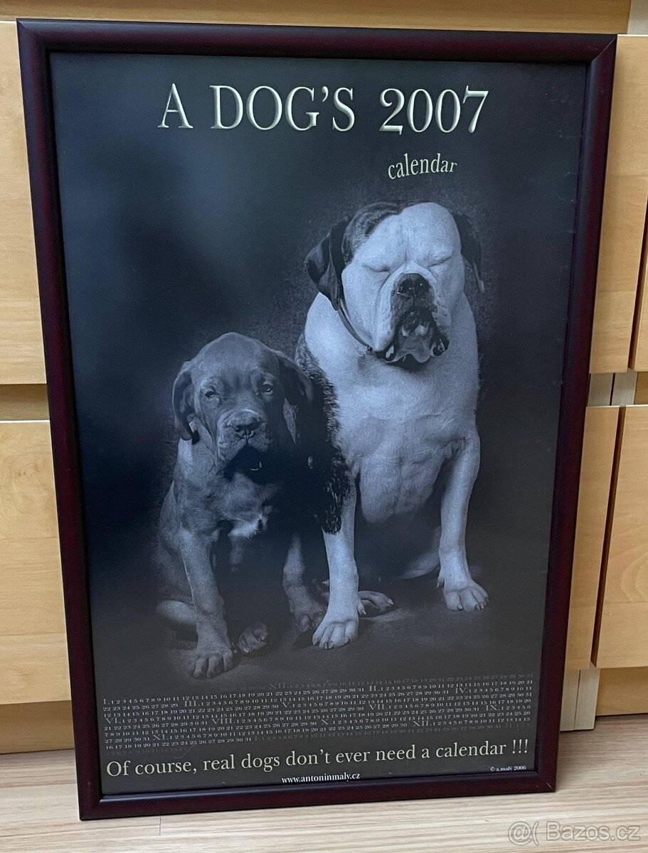 Foto Obrazy Antonín Malý s motivy psů 3 ks - 9