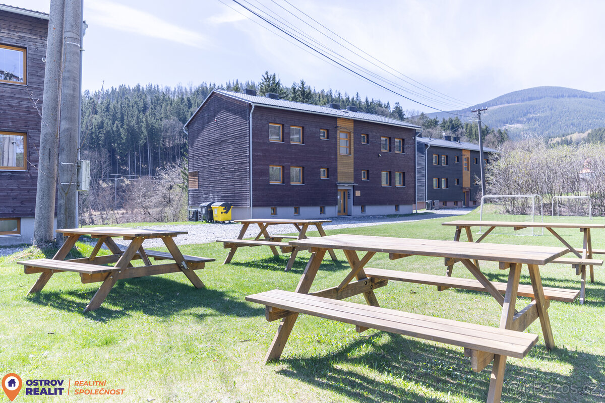 Prodej, apartmán 1+kk, 30 m2, Stříbrnice - 9