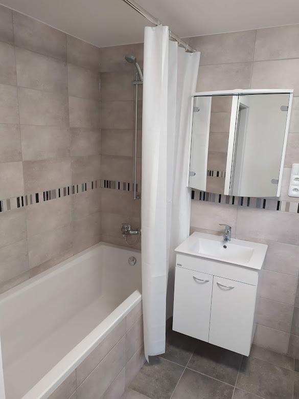 Pronájem bytu 2+1 v Mostě - 9