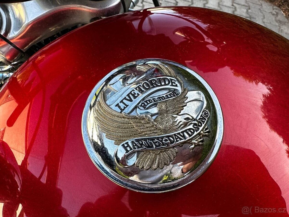 Harley Davidson XL 1200C - 9