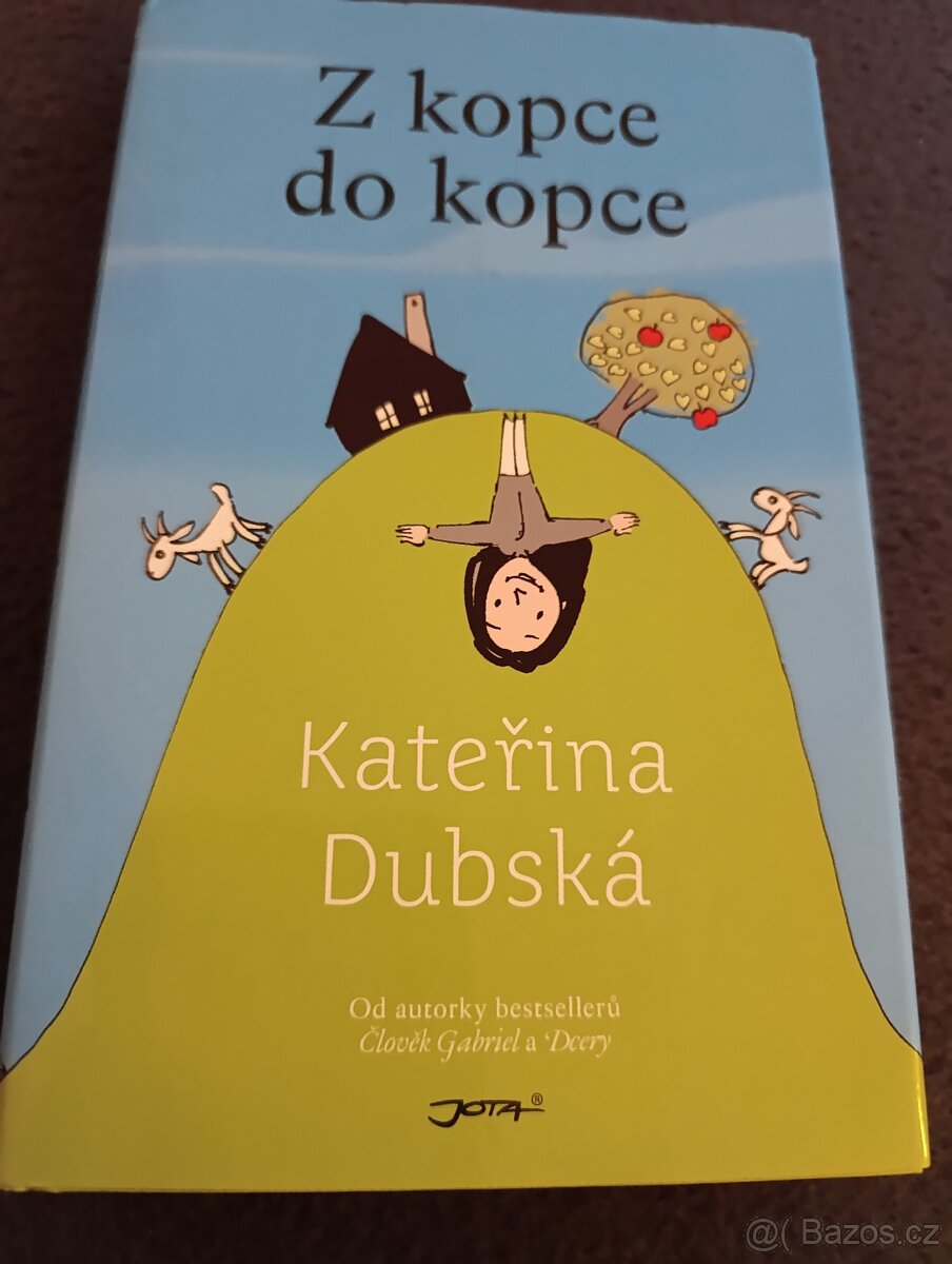 Úklid knihovny - 9