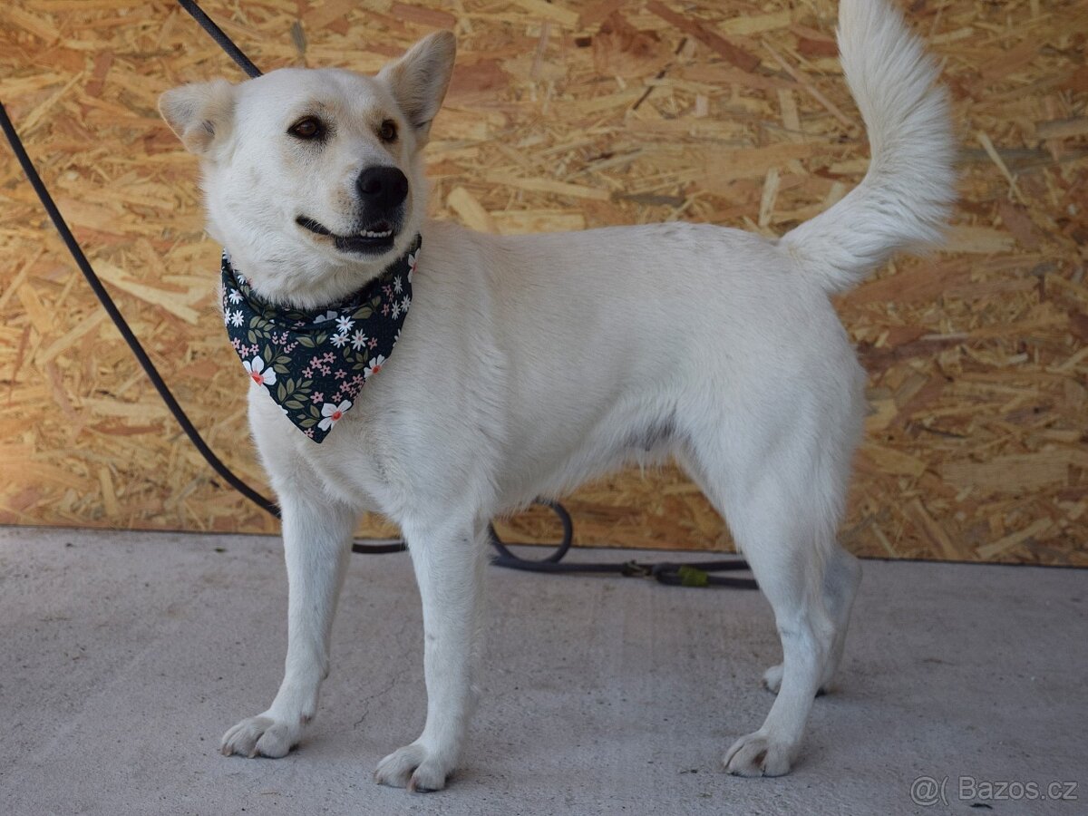 🌸 Zaira – veselá parťačka do života 🌸 - 9