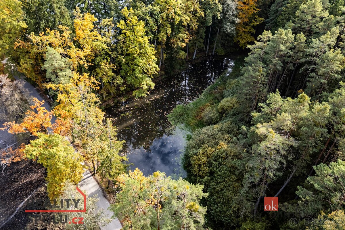 Prodej, pozemky/rybník, 64790 m2, Žíteč, Chlum u Třeboně, Ji - 9