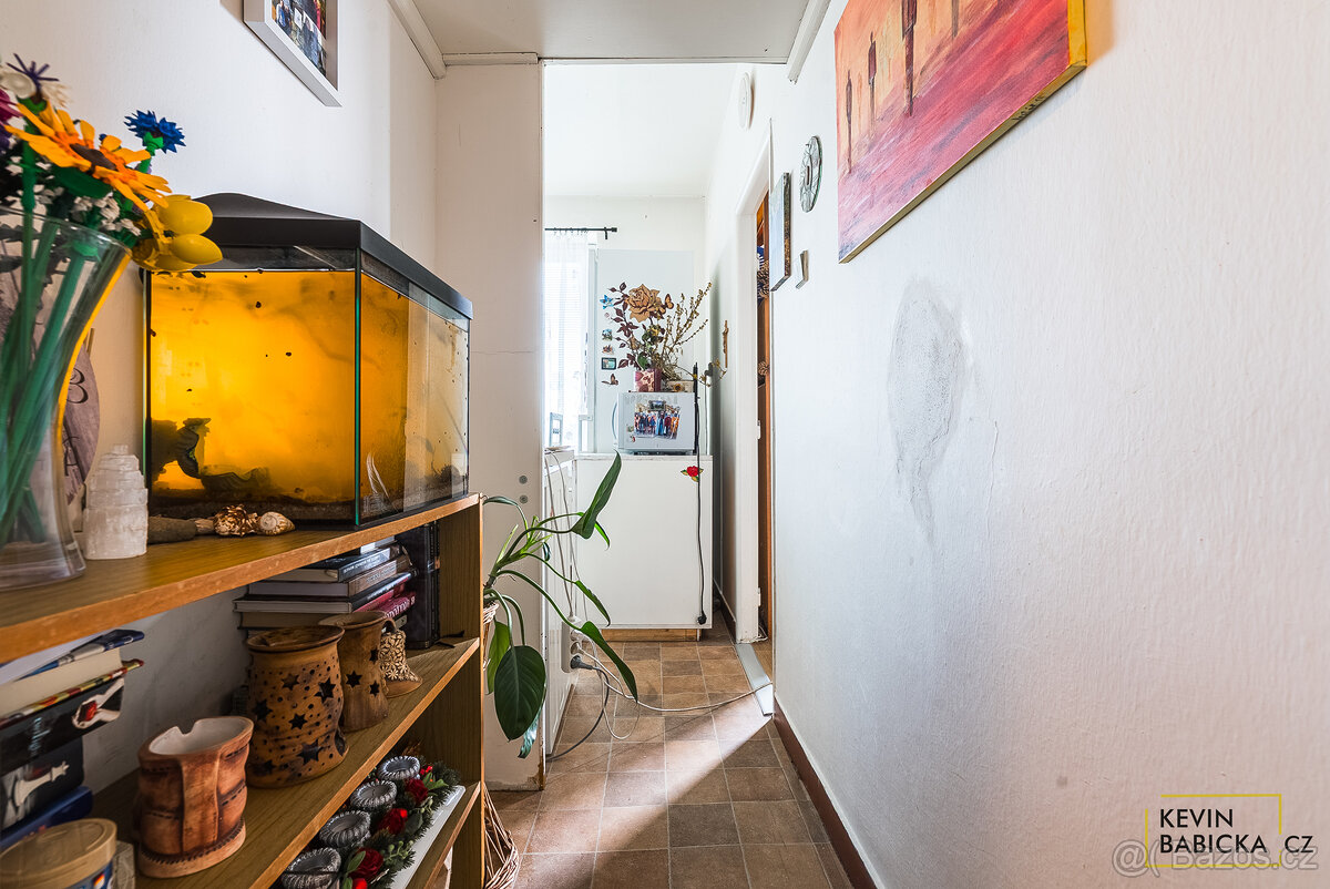 Prodej investičního bytu 2+1 - 9
