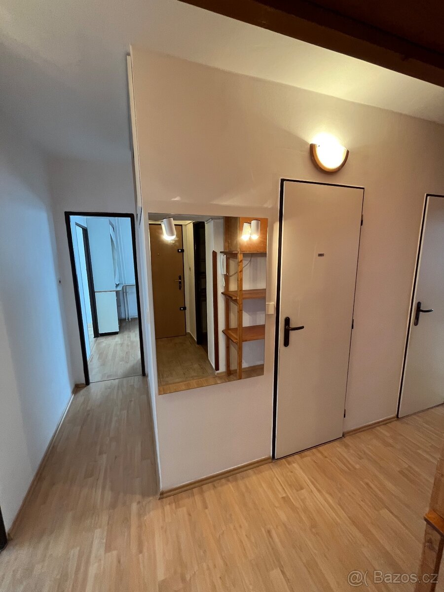 Pronájem 3+1, 80m2, 11 patro, Slezske - 9