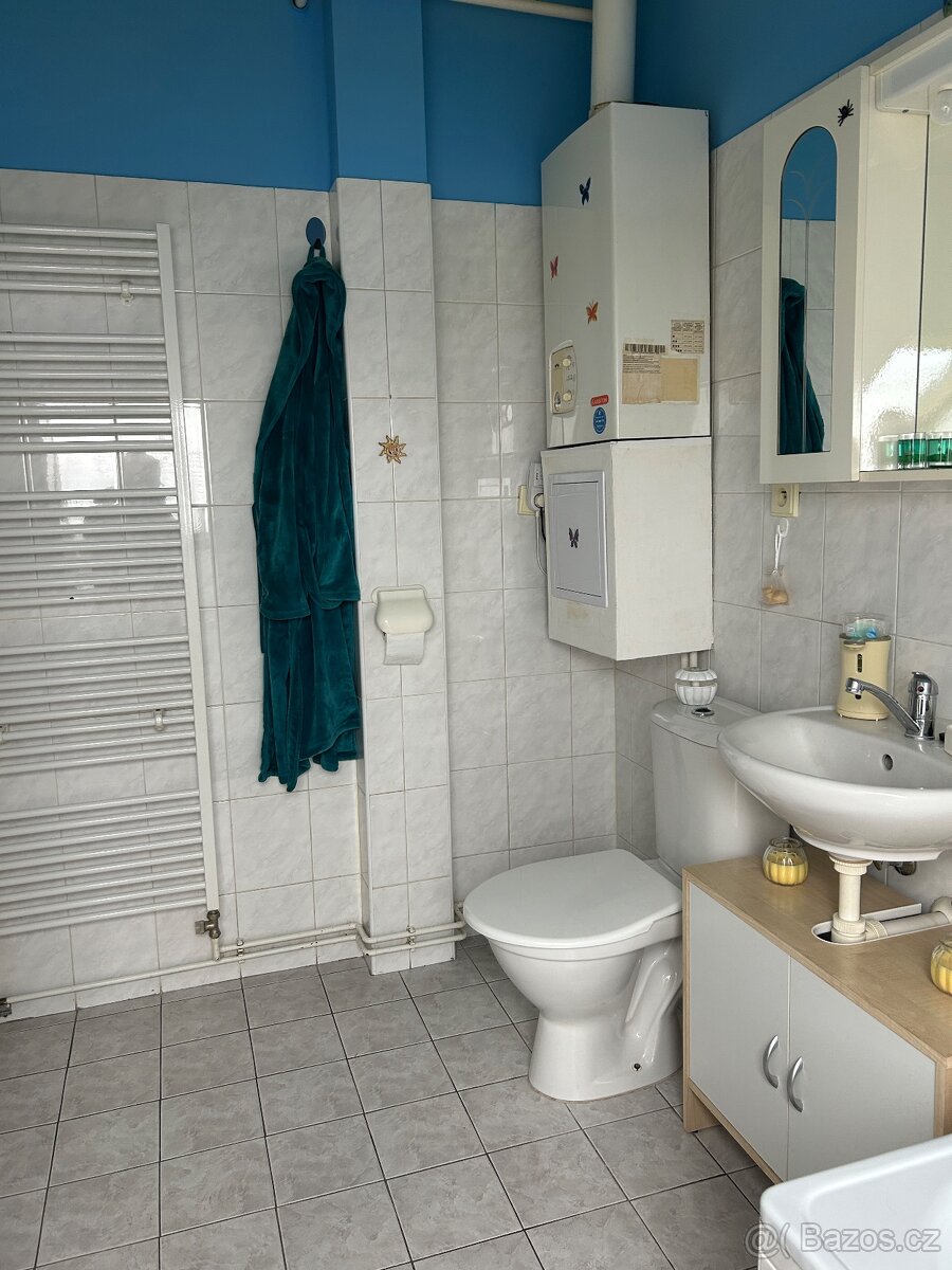 Pronájem bytu 2+kk Heřmanův Městec - 9