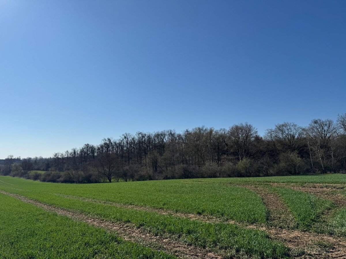 Prodám pozemky v katastrálním území Jevišovice - 9