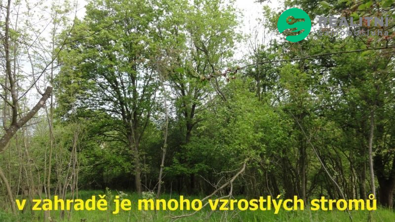 Pozemek 4474m2 pro rodinné sídlo v Ústí nad Labem - 9