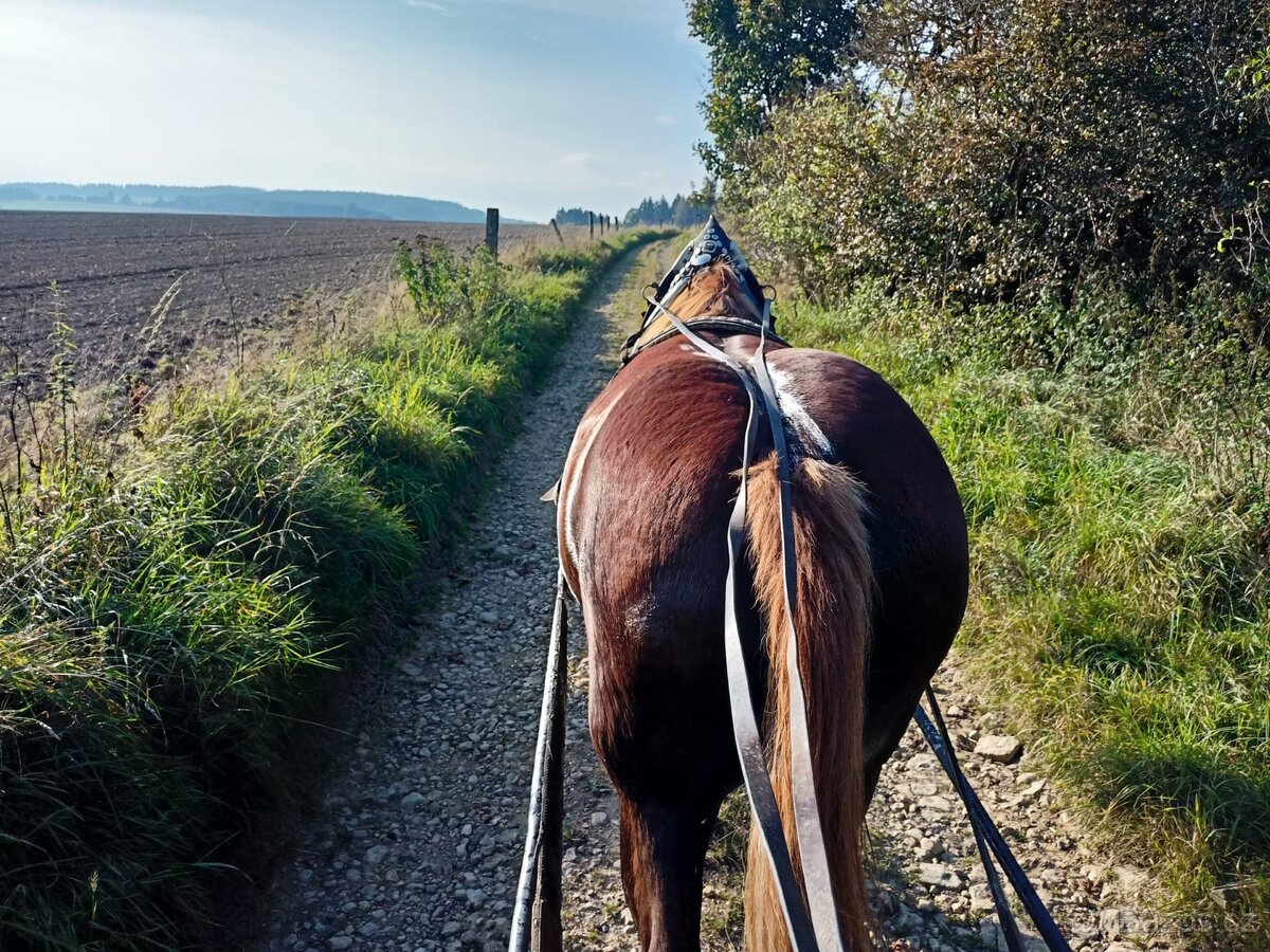 Valach pro začátečníky - 9