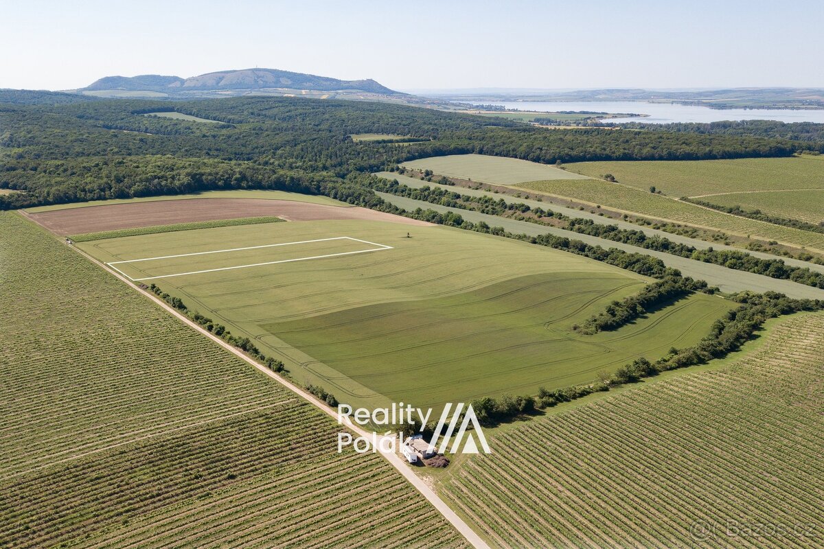 Prodej orná půda, 7380 m² - Bulhary, ev.č. 25PP103 - 9