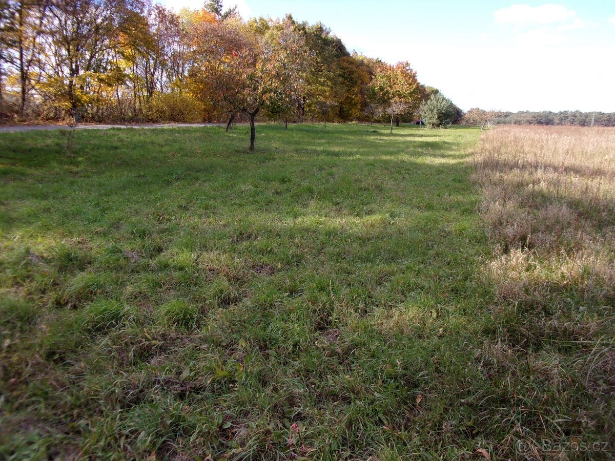 Prodám zajímavý pozemek v katastru Rohatec 3028/125 - 9