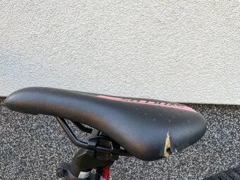 Scott Contessa 20 - 9