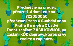 3+1 mušle náhrdelníky z Afriky - kuk na fota - cena za vše - 9