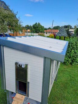 KURNÍK PRO SLEPICE - 9