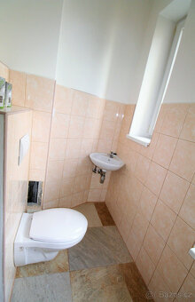 Pronájem bytu 2+kk, Guldenerova, Plzeň -Slovany, 13.500,- Kč - 9