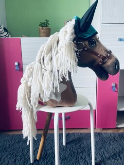 Hobby horse - 9