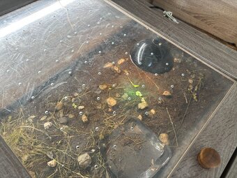 Terarium 80x190x80 cm - 9