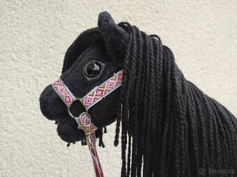 Hobby horse - 9