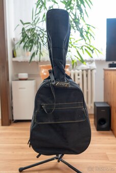 Akustická kytara Yamaha F310 - 9