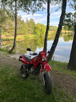 MZ 125 sm 2006 - 9