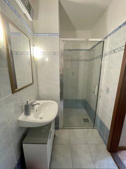 Pronájem bytu 2+1 - 9