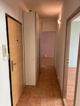 Byt 2+1 Břidličná - 9